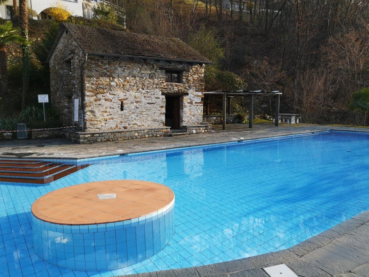 1 Zimmer Apartment Mit Seesicht Und Pool Gambarogno Extérieur photo