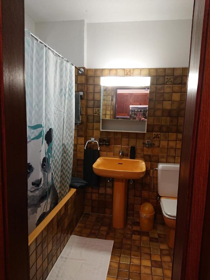 1 Zimmer Apartment Mit Seesicht Und Pool Gambarogno Extérieur photo