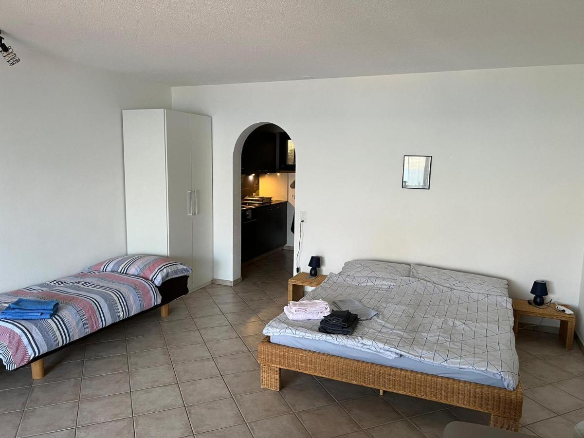 1 Zimmer Apartment Mit Seesicht Und Pool Gambarogno Extérieur photo